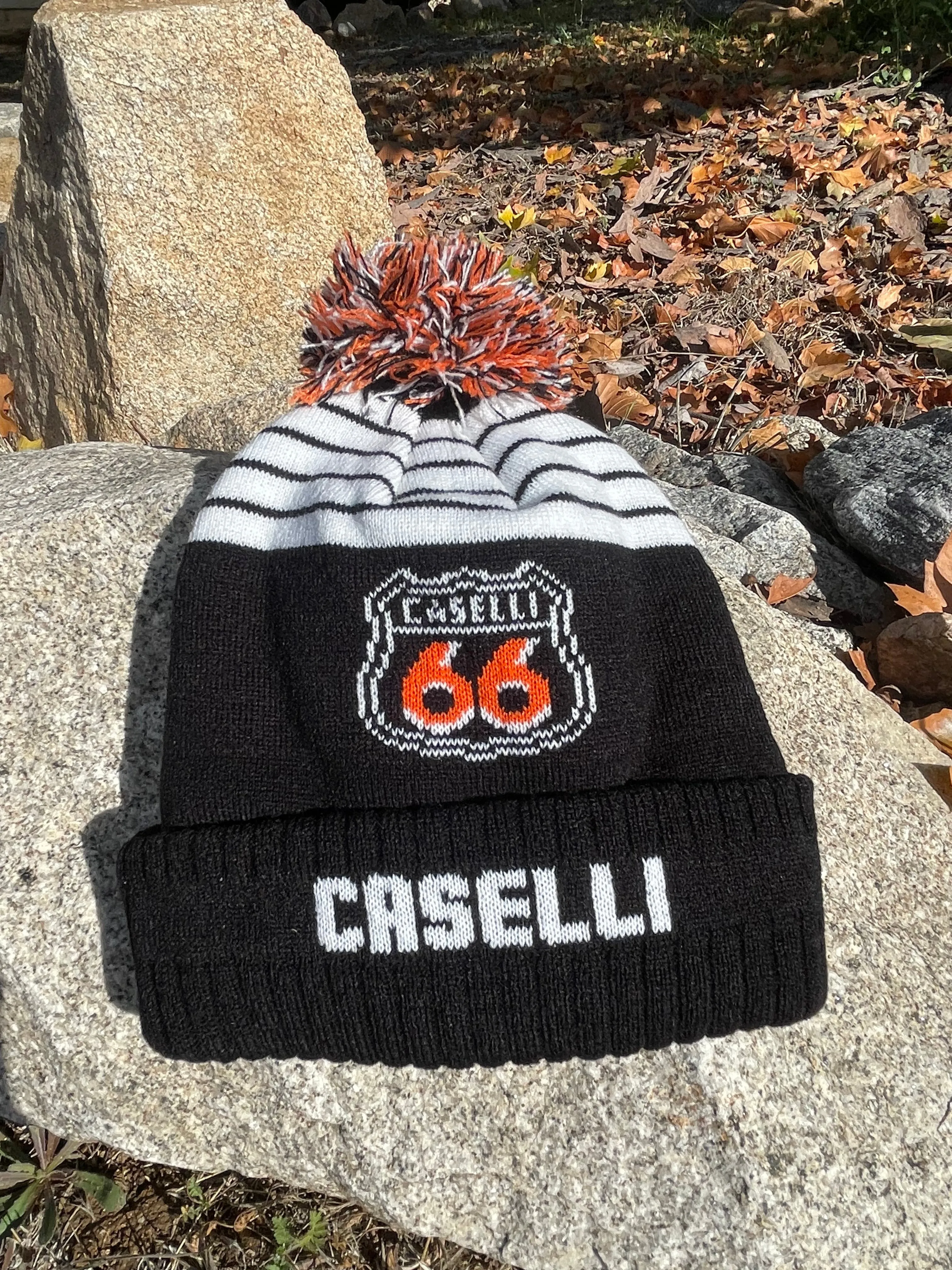 66 Shield Pom Beanie