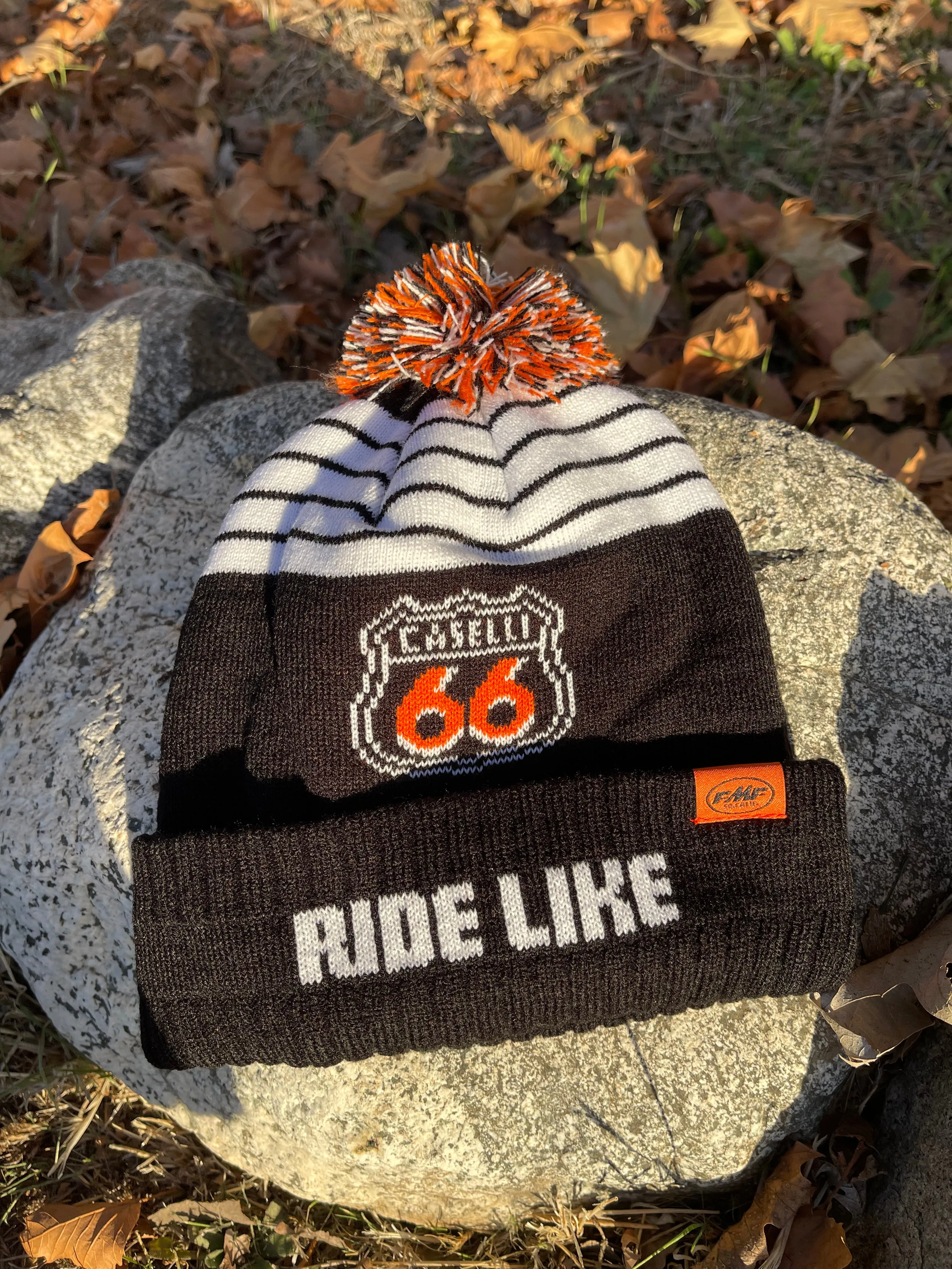 66 Shield Pom Beanie