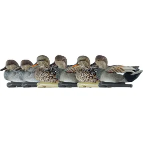 AvianX Top Flight Duck Decoys (Gadwall 6 pk.)